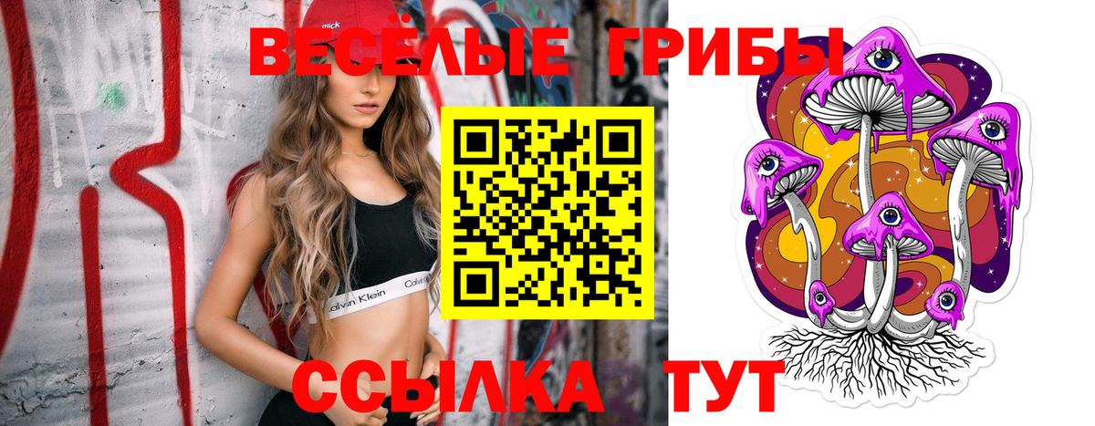 Галлюциногенные грибы GOLDEN TEACHER Назрань